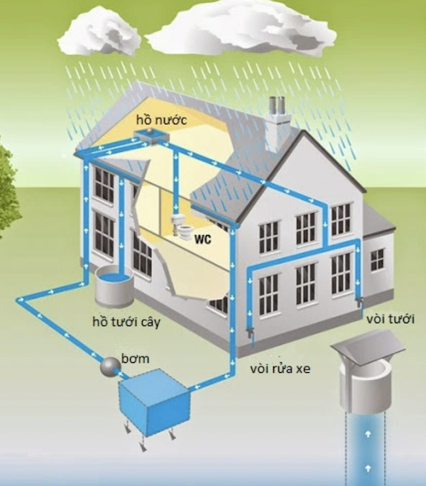 Hệ Thống Thu Nước Mưa: Giải Pháp Công Nghệ Tích Hợp Kiến Trúc Xanh Hiện Đại 4 Hệ thống thu nước mưa