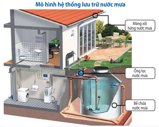 Hệ Thống Thu Nước Mưa: Giải Pháp Công Nghệ Tích Hợp Kiến Trúc Xanh Hiện Đại 6 ky thuat thu gom nuoc mua