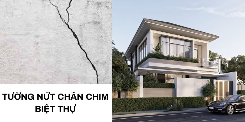Tường nứt chân chim biệt thự hiện đại – cảnh báo nguy cơ kết cấu ẩn